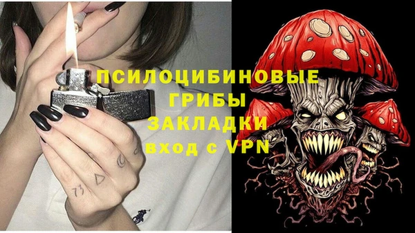 не бодяженный Алзамай