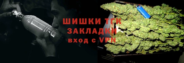 ECSTASY Костерёво