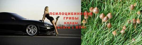 не бодяженный Алзамай