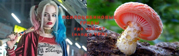 не бодяженный Алзамай