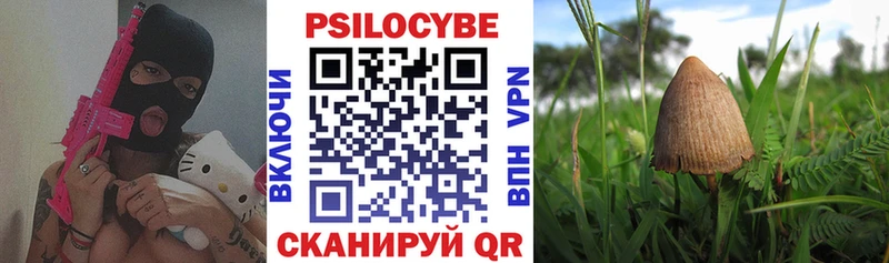 как найти наркотики  Гаврилов Посад  гидра вход  Псилоцибиновые грибы мухоморы 